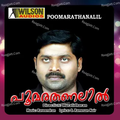 Poomarathanalil (Original Motion Picture Soundtrack) - Raveendran