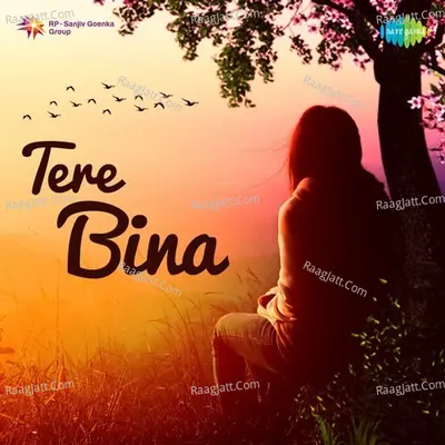 Tere Bina - Various Artists