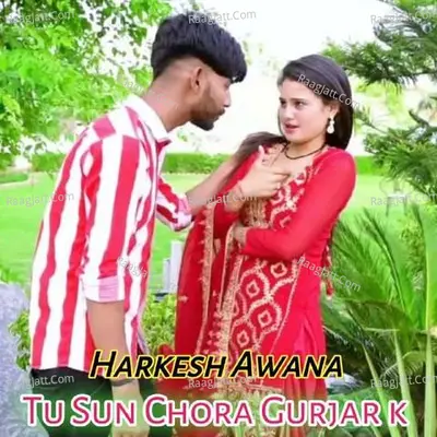 Tu sun Chora Gurjar k - Harkesh Awana