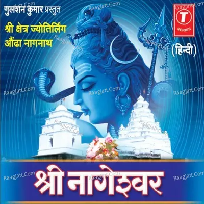 Shri Nageshwar (Dhun,jaap,aarti) Poster