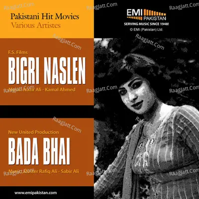 Bada Bhai & Bigri Naslen Poster