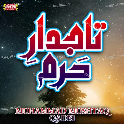 Tajdar E Haram Poster
