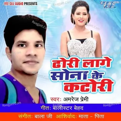 Dhodhi Lage Sona Ke Katori - Amrej Premi