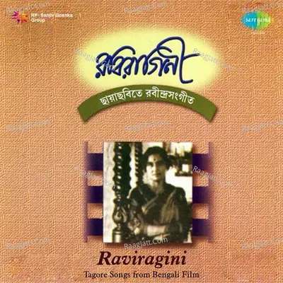 Raviragini Volume 2 Poster