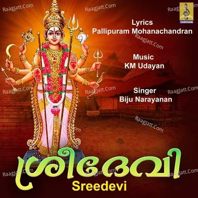 Sreedevi - Biju Narayanan