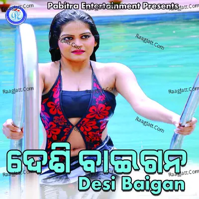 Desi Baigan Poster
