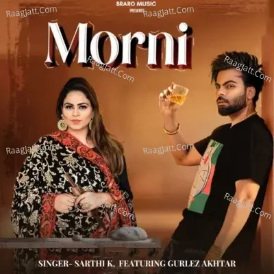 Sarthi K Image