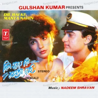 Dil Hai Ke Manta Nahin Poster