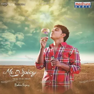 Mr..Spicy - Baloo Spicy