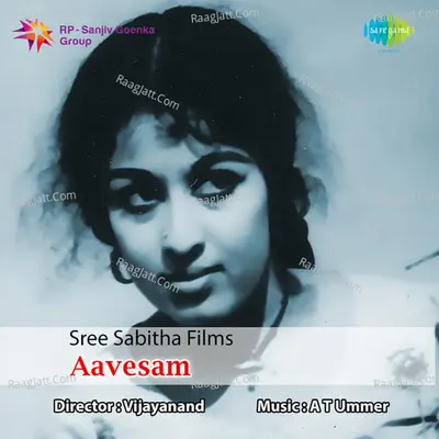 Aavesam Poster