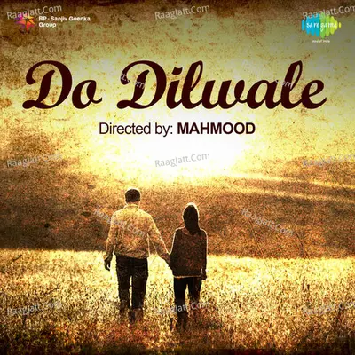 Do Dilwale Poster