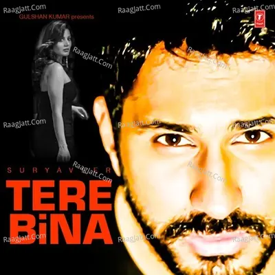 Tere Bina Cover