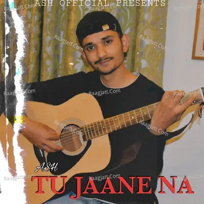 Tu Jaane Na Cover