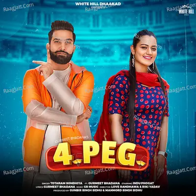 4 Peg Cover