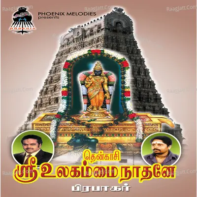 Tenkasi Ulagammai Naathane - Prabhakar