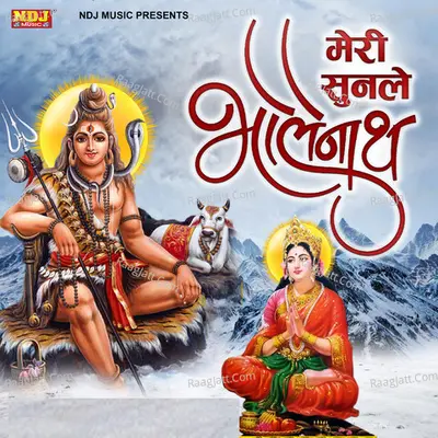 Meri Sunle Bholenath Cover