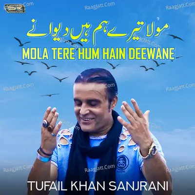 Mola Tere Hum Hain Deewane - Single Cover