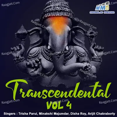 Transcendental - Vol. 2 Poster