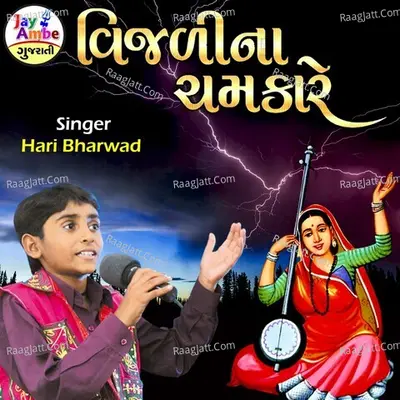 Vijadi Na Chamkare Cover