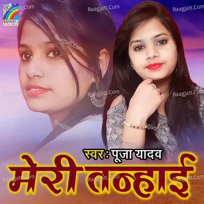 Meri Tanhai Poster