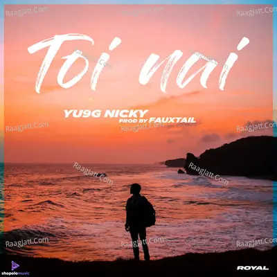Toi Nai Cover