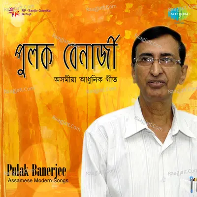 Modern Songs  By Pulak Banerjee  - Pulak Banerjee
