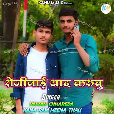 Pawan Chhareda Image