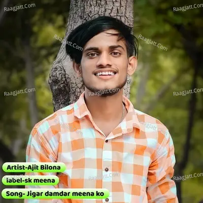 Jigar damdar meena ko Cover