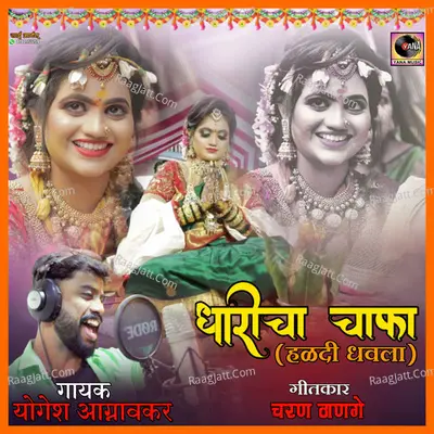 Dharicha Chafa (Haladi Dhavala)