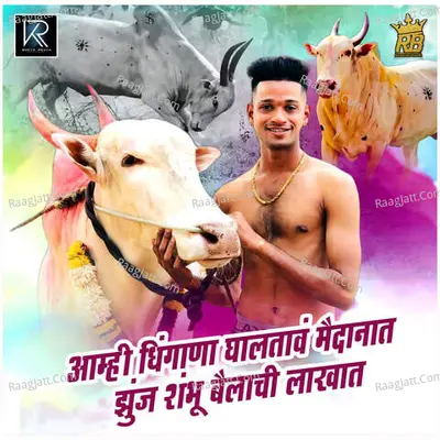 Aamhi Dhinghana Ghaltav Maidanat Jhunj Shambu Bailachi Lakhat Cover