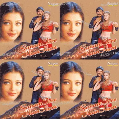 Sanam Tere Hain Hum Poster