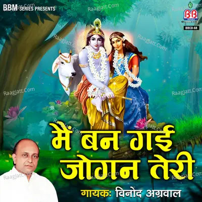 Vinod Aggarwal Image