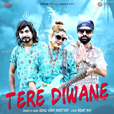 Tere Diwane Cover