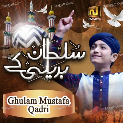 Sultan Bareilly Ke - Single Cover
