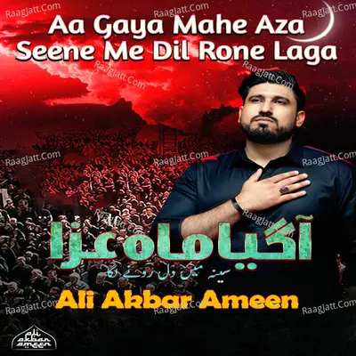 Ali Akbar Ameen Image