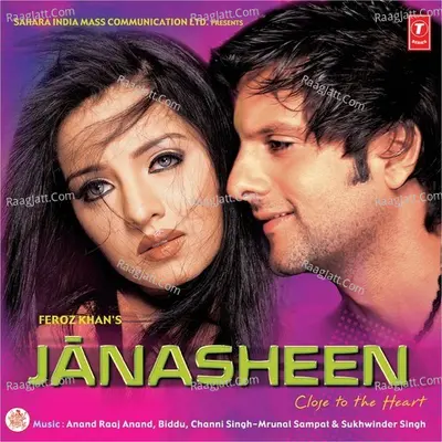 Janasheen Poster