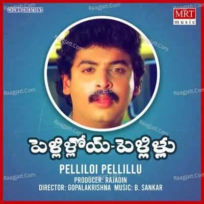 Pelliloi Pellillu Poster