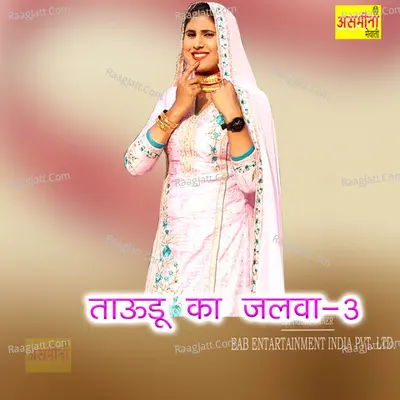 Taudu Ka Jalwa, Vol. 3 Cover
