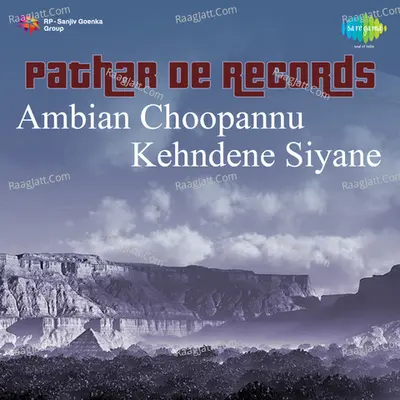 Pathar De Records Kehnde Ne Siyane3 Poster
