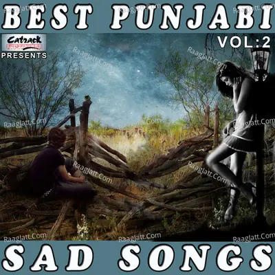 Best Punjabi Sad Songs, Vol. 2 - Kavita Krishnamurthy