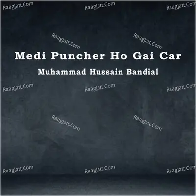 Medi Puncher Ho Gai Car Cover