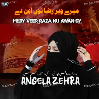 Mery Veer Raza Nu Awan Dey Poster