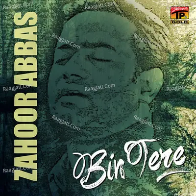 Bin Teray, Vol. 1 - Zahoor Abbas