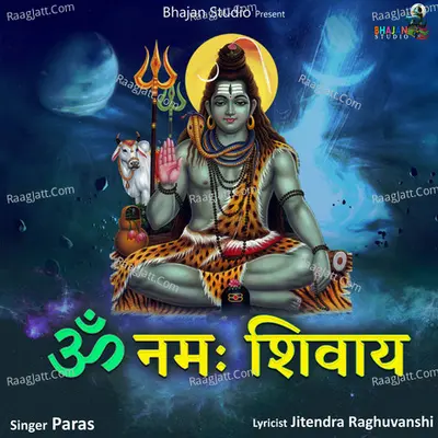 Om Namah Shivay