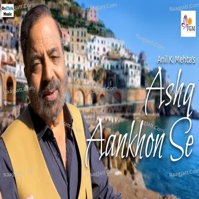 Anil K. Mehta Image