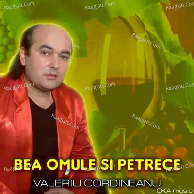 Bea omule si petrece Cover