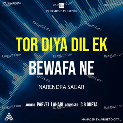 Tor Diya Dil Ek Bewafa Ne Cover