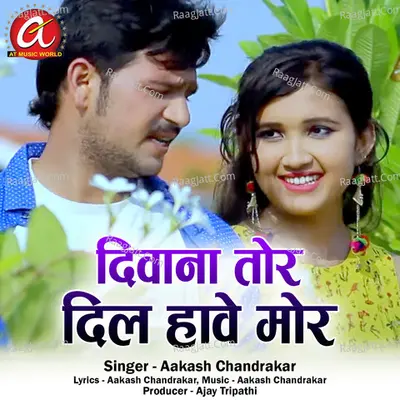 Diwana Tor Dil Hawe Mor Cover