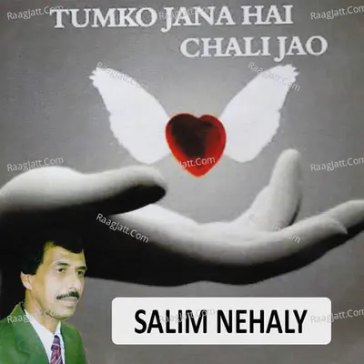 Tumko Jana Hai Chali Jao - Salim Nehaly
