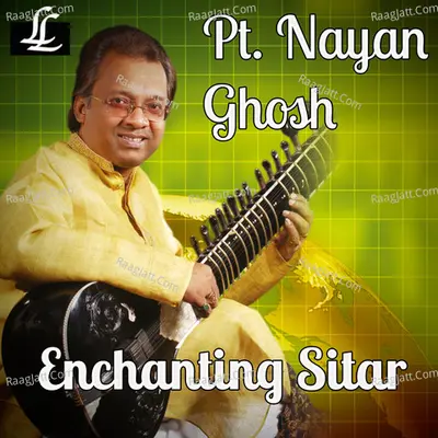 Enchanting Sitar Poster